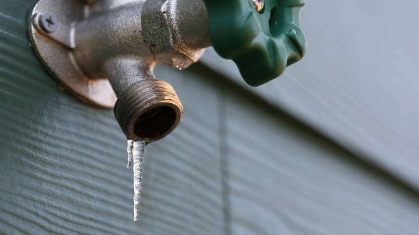 Best Best Plumbers Near Me  in Inverness Highlands South, FL