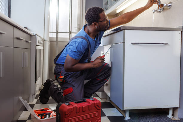 Best Plumbing Services Near Me  in Inverness Highlands South, FL